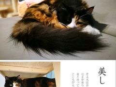 -小时光咖啡馆(开森度假森林店)