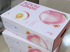 -老袁家蜜桃农场·阳山水蜜桃