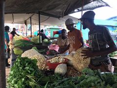 -尼甘布海鲜市场