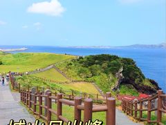 -济州森林小火车生态公园