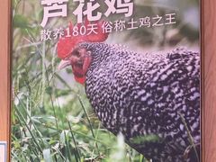 -俭寨大盘鸡·缸子肉·小公鸡·新疆菜(云通店)