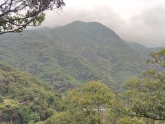 -梧桐山风景名胜区