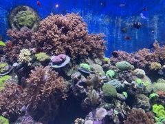 -珠海长隆海洋王国
