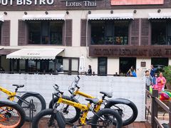-Local泰莲庭(虹鳟鱼店)
