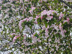 -长椿街(地铁站)