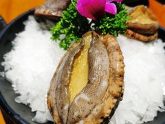 六头鲍鱼-捞围鲜·港式打边炉(海阳路店)