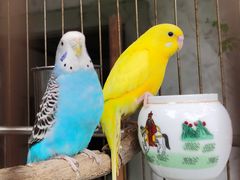 景观位-同得兴 Since·1995 传统苏式面馆(嘉馀坊店)