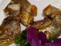 -澳门西南饭店·粤菜·茶市·手工点心(华海路店)