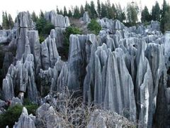 -千岛湖石林