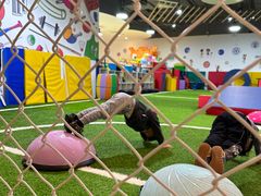 -侎宝运动成长中心(嘉定大融城店)