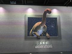 -天津自然博物馆