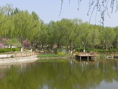 -燕郊植物园