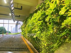 -上海中心大厦·地下停车库