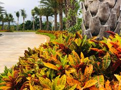 -三亚海昌梦幻海洋不夜城