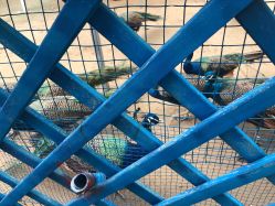 -萌宠亲子动物乐园(槐房万达店)