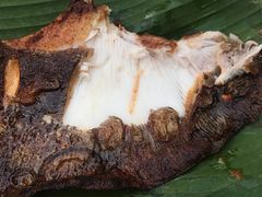 -黄亚华小食店(Jalan Alor)