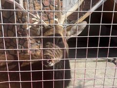 -J Create城市露营咖啡·简餐·宠物(上海动物园店)