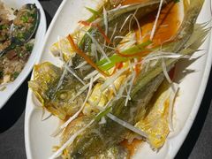 -前海沿·青岛菜(大拇指广场石老人店)