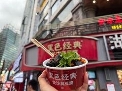 -黑色经典臭豆腐·湖南特产(坡子街店)