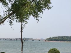 -丁香湖公园
