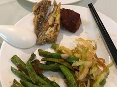-裕龙汤泉