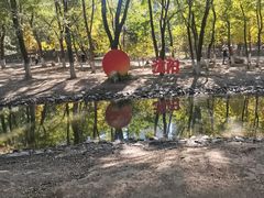 -长白岛森林公园