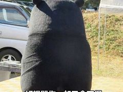 -COSTA COFFEE(上海月星环球港店)