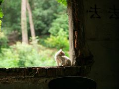 -虞山风景区