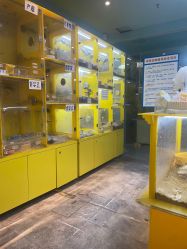 点击看大图 -神奇动物撸宠馆·羊驼·小浣熊·异宠(豫园店)