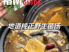 -马帮菜馆·美味野生菌