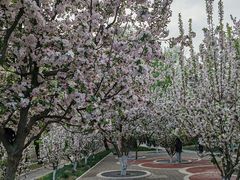 -海棠花溪(元大都城垣遗址公园)