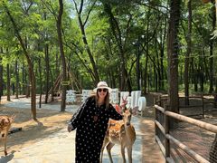 -南戴河国际娱乐中心