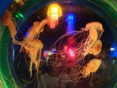 -太平洋海底世界