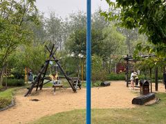 -合肥滨湖国家森林公园