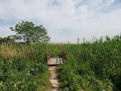 -同里国家湿地公园