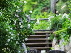 -九如山休闲旅游度假区