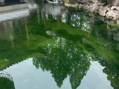 -吴兴寺