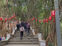 -老君山