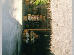 -大象粑粑造纸公园
