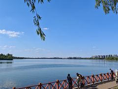 -丁香湖公园