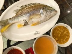 黄墙鱼-吴记富苑(朝阳店)