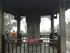 -西湖外事游船(花港观鱼码头)