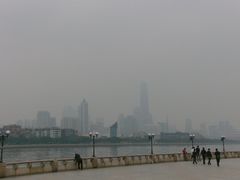 -中山大学学者灵芝(园南路店)