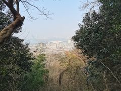 -紫金山山顶公园