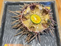 -海胆小馆(东北水饺·春柳店)