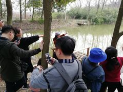 -龙湖东院农庄(乡间小路店)