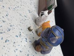 -半岛宠物医院24小时(白果林店)