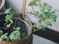 景观位-灶咖KITCHEN