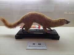 -下渚湖国家湿地公园科普馆