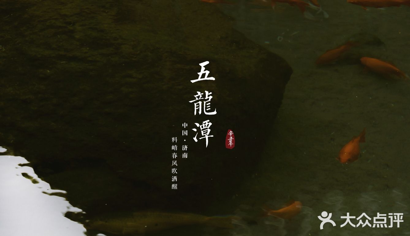 济南三月赏花指南丨五龙潭